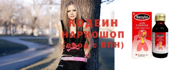 дживик Няндома