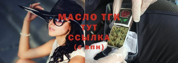 spice Инта