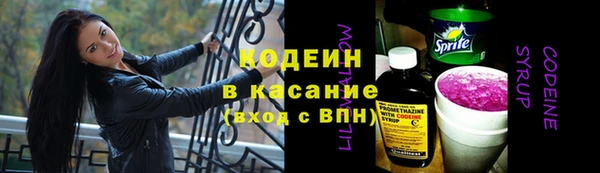 дживик Няндома
