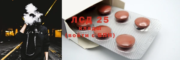 дживик Няндома