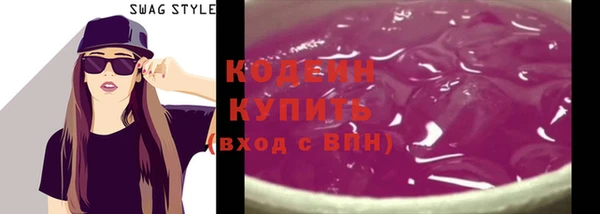 дживик Няндома