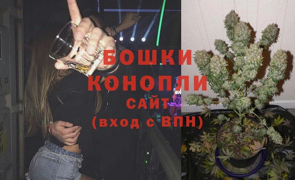 дживик Няндома