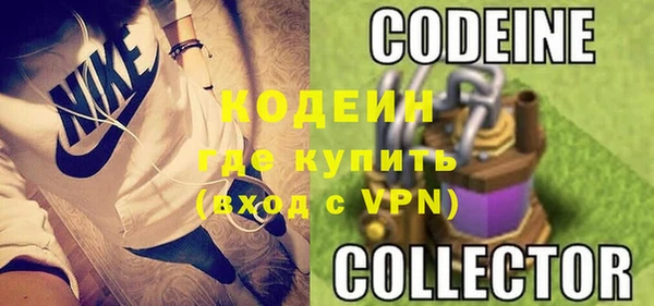 дживик Няндома