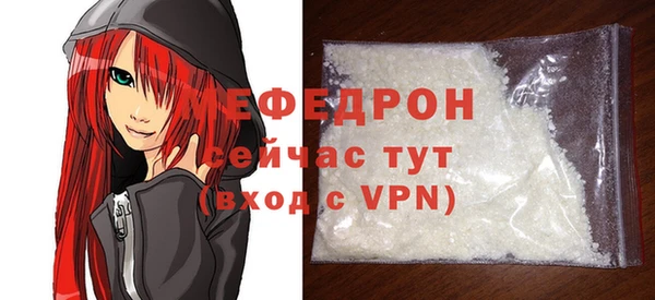 дживик Няндома