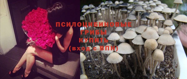 ALPHA PVP Нягань