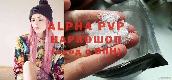 дживик Няндома