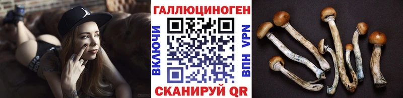 даркнет Telegram  даркнет сайт  Куйбышев  Галлюциногенные грибы ЛСД 