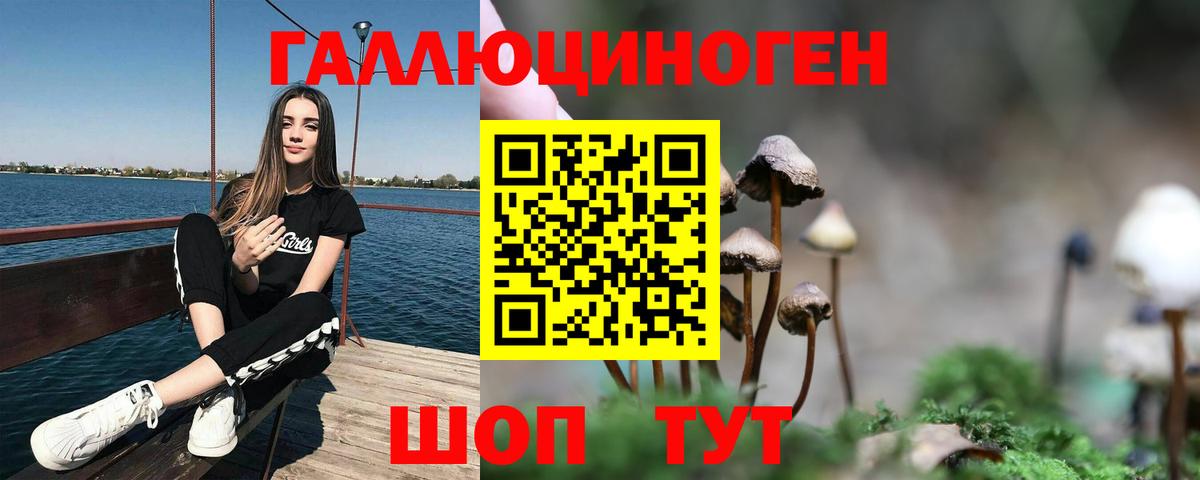 дарнет шоп  Псилоцибиновые грибы мицелий  Вход с VPN  Куйбышев 